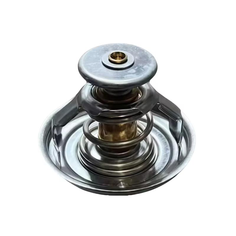 Termostat tal-Magna tat-Trakk 1000837830